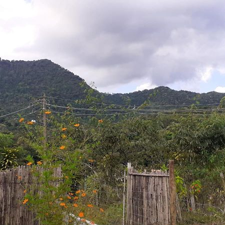 Casa Venus Villa Sao Pedro da Serra  Dış mekan fotoğraf