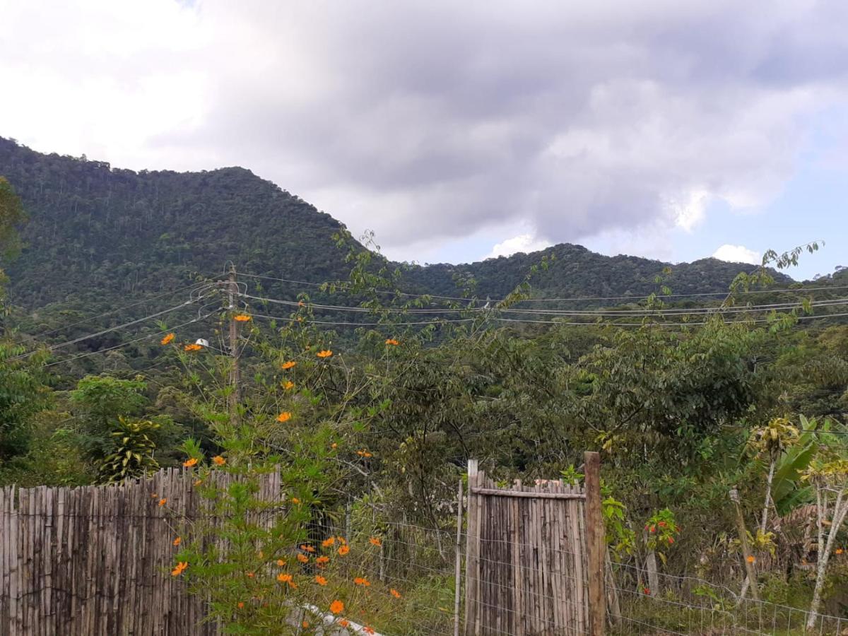 Casa Venus Villa Sao Pedro da Serra  Dış mekan fotoğraf